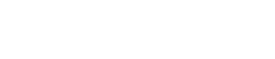 Promitto_logo
